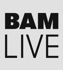 Die Lindenhofgruppe an der BAM.LIVE