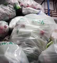 Engagiert für die Umwelt