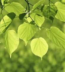 Der Qualitätsbericht 2023 ist verfügbar – erstmals in digitaler Form