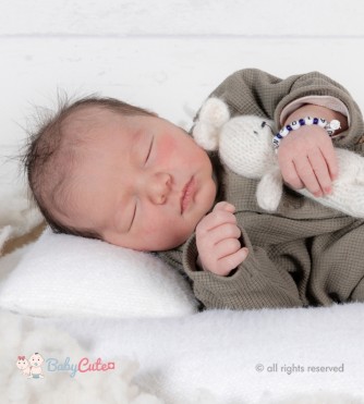 Aiden Lando