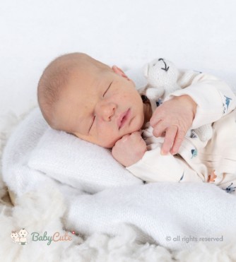 Aiden Jace