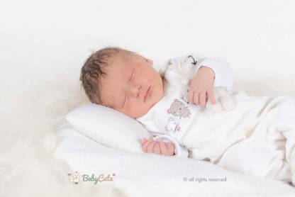 Éloïs Ernest Bertrand