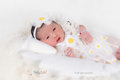Aylin
