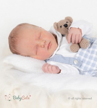 Nils Liam