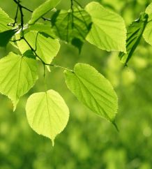 Positives Jahresergebnis 2020 der Lindenhofgruppe - trotz COVID-19