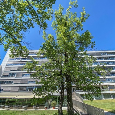 Lindenhofspital