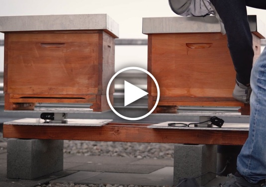 Mo-Momente: das Making-of