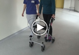 Gehhilfe: Rollator