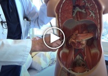 Verbandswechsel Nephrostomie